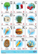 Italian Cursive Alphabet Poster