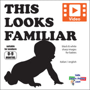 This Looks Familiar - Video Book