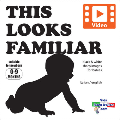 This Looks Familiar - Video Book
