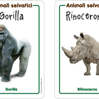 Wild Animals Flashcards x 2 - FREE