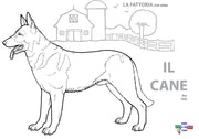 Il Cane - Worksheet