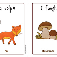 Autumn Flashcards x 2 - FREE