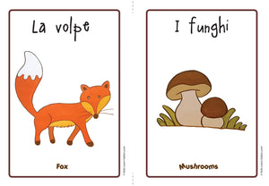Autumn Flashcards x 2 - FREE