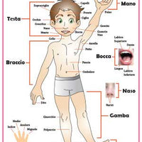 Italian Body Parts Poster